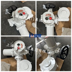 6000Nm电动执行器带蜗轮减速机QDX3-7